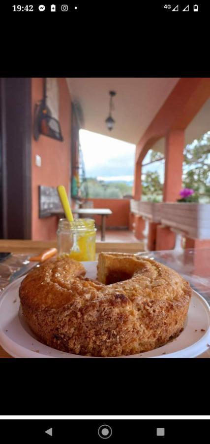 Poggio Agli Ulivi Villa Frascati Eksteriør bilde