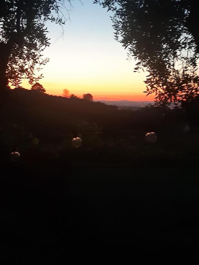Poggio Agli Ulivi Villa Frascati Eksteriør bilde