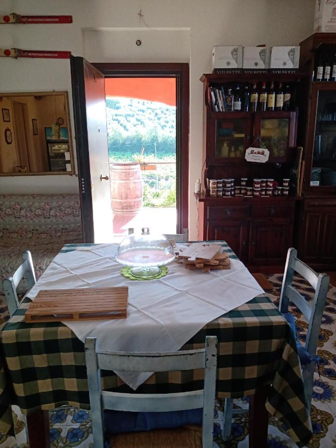 Poggio Agli Ulivi Villa Frascati Eksteriør bilde